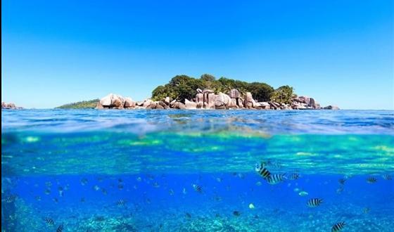 奥莉的夏威夷之旅