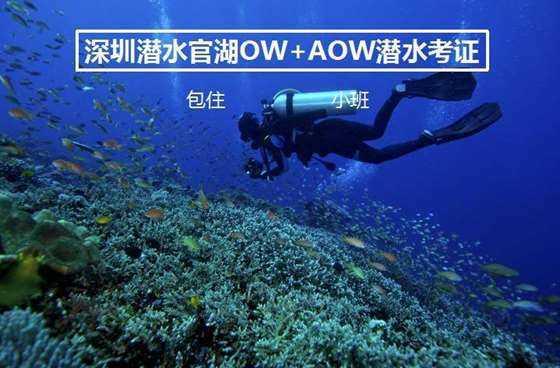 逃离空旷大街6